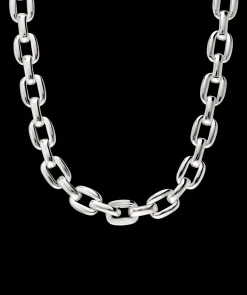 Stevie Chain